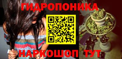 дурь Камышлов