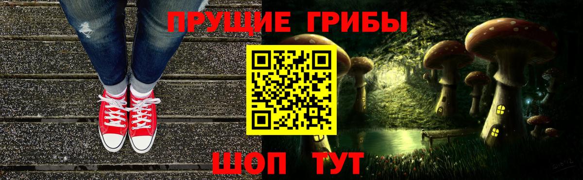 Галлюциногенные грибы прущие грибы Кызыл