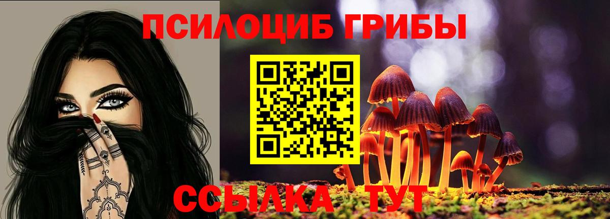Галлюциногенные грибы MAGIC MUSHROOMS  Галлюциногенные грибы Psilocybe  Кызыл  Вход с VPN 